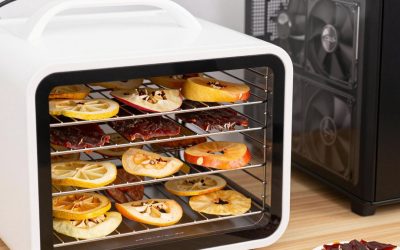Best Food Dehydrators for Jerky, Fruit, and More