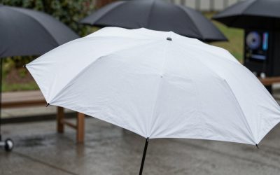 Best Golf Umbrellas for Windy Weather