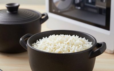 Best Japanese Donabe Pots for Rice, Stews and Hot Pots