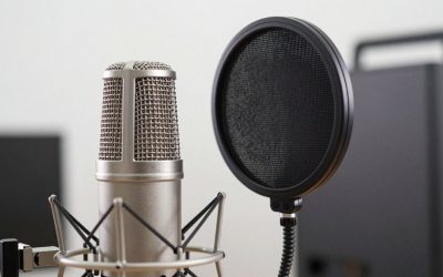 Best Pop Filters for Recording Microphones: Clear Vocals