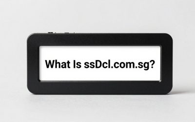 What Is ssdcl.com.sg? Singapore Computer Parts Retailer Explained