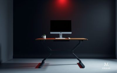 ErGear 55×28 Electric Standing Desk Review